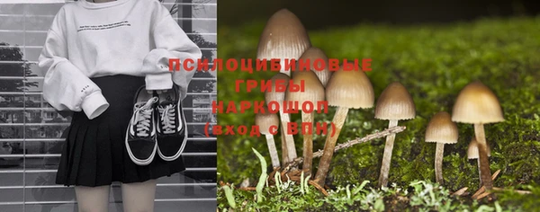 мяу мяу кристалл Щигры
