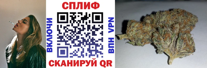 Бошки марихуана конопля  Славск 